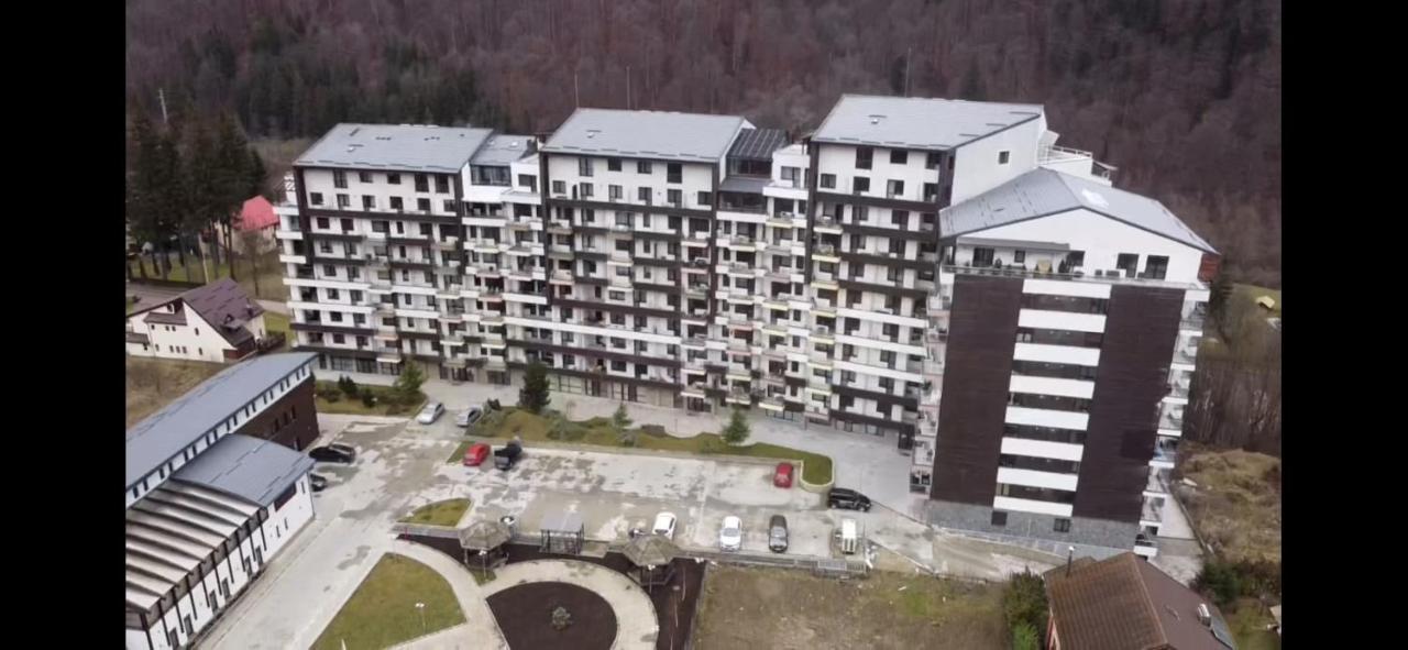 Perfect View Apartment 시나이아 외부 사진
