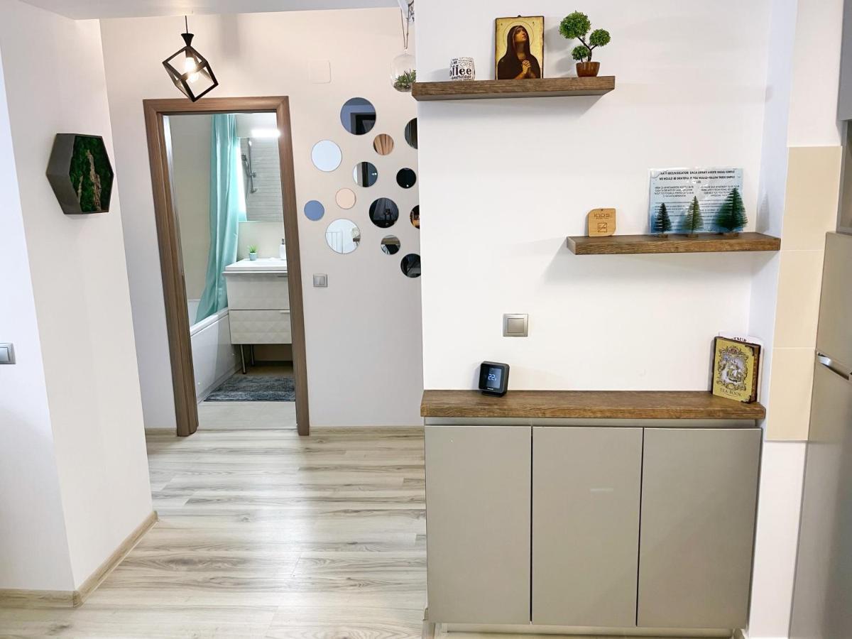 Perfect View Apartment 시나이아 외부 사진