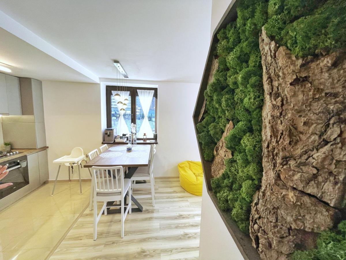 Perfect View Apartment 시나이아 외부 사진