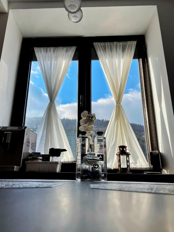Perfect View Apartment 시나이아 외부 사진