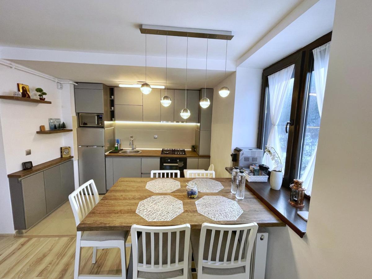 Perfect View Apartment 시나이아 외부 사진
